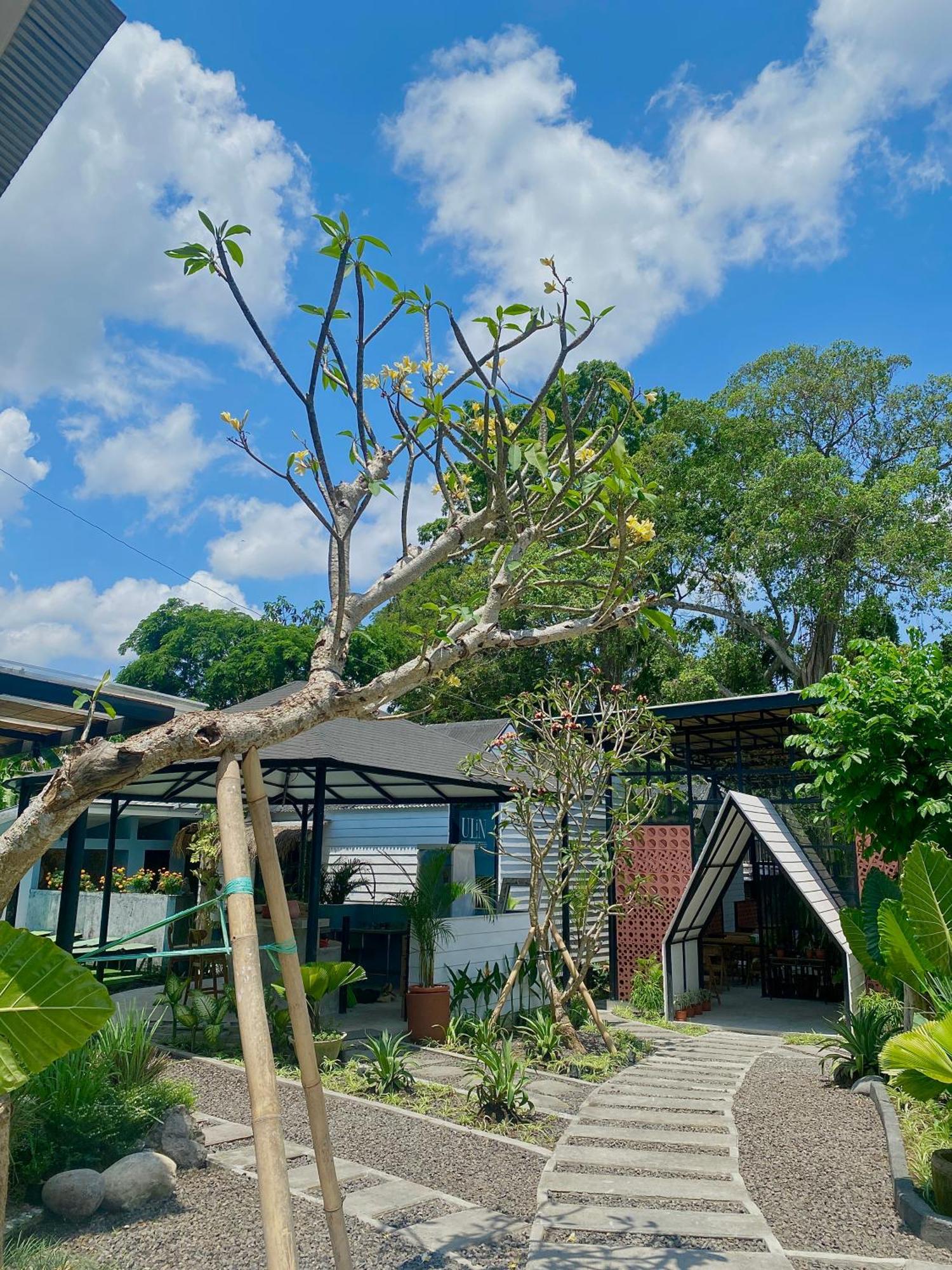 The Jungle Hostel Canggu Exterior photo