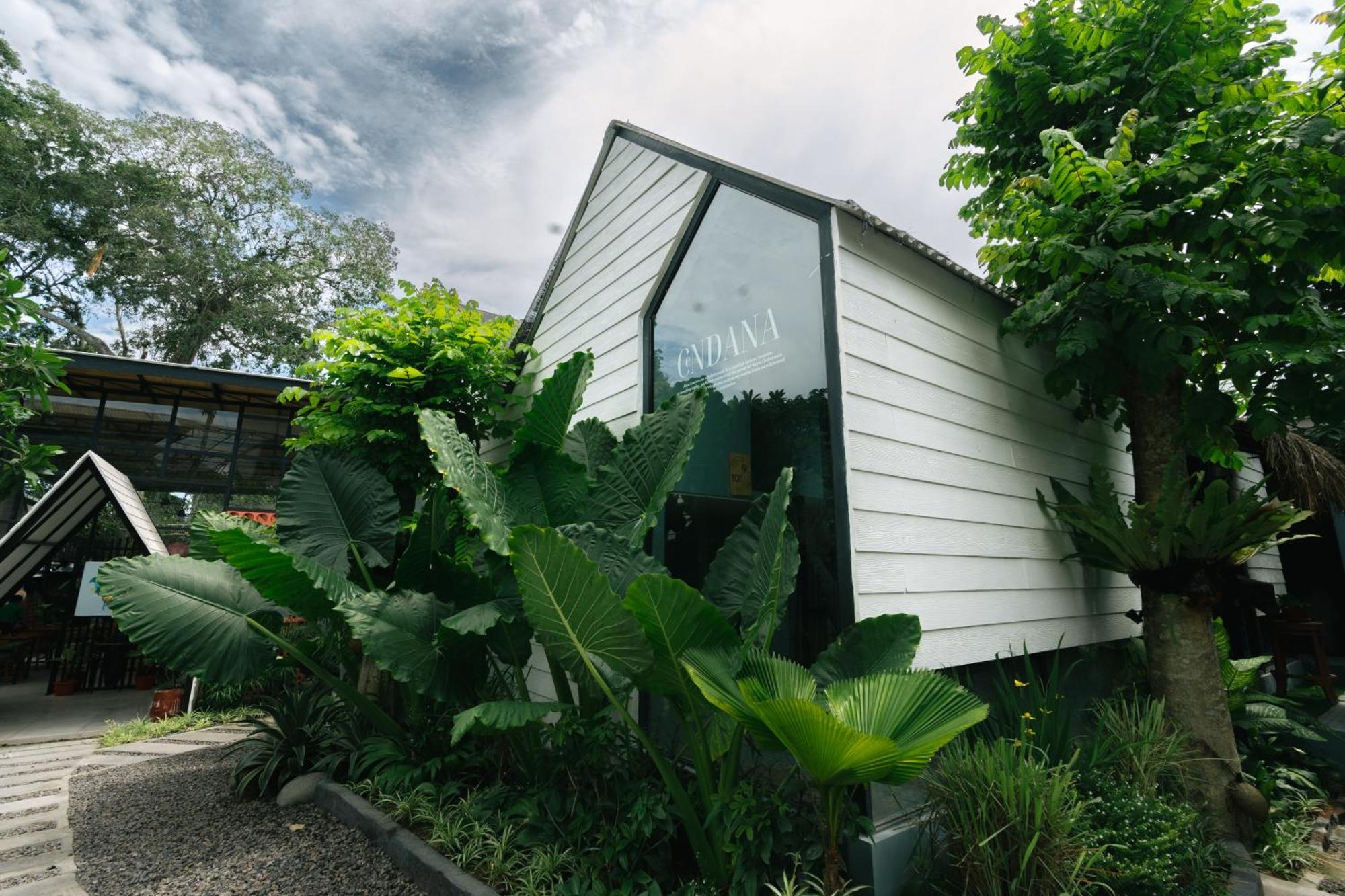 The Jungle Hostel Canggu Exterior photo