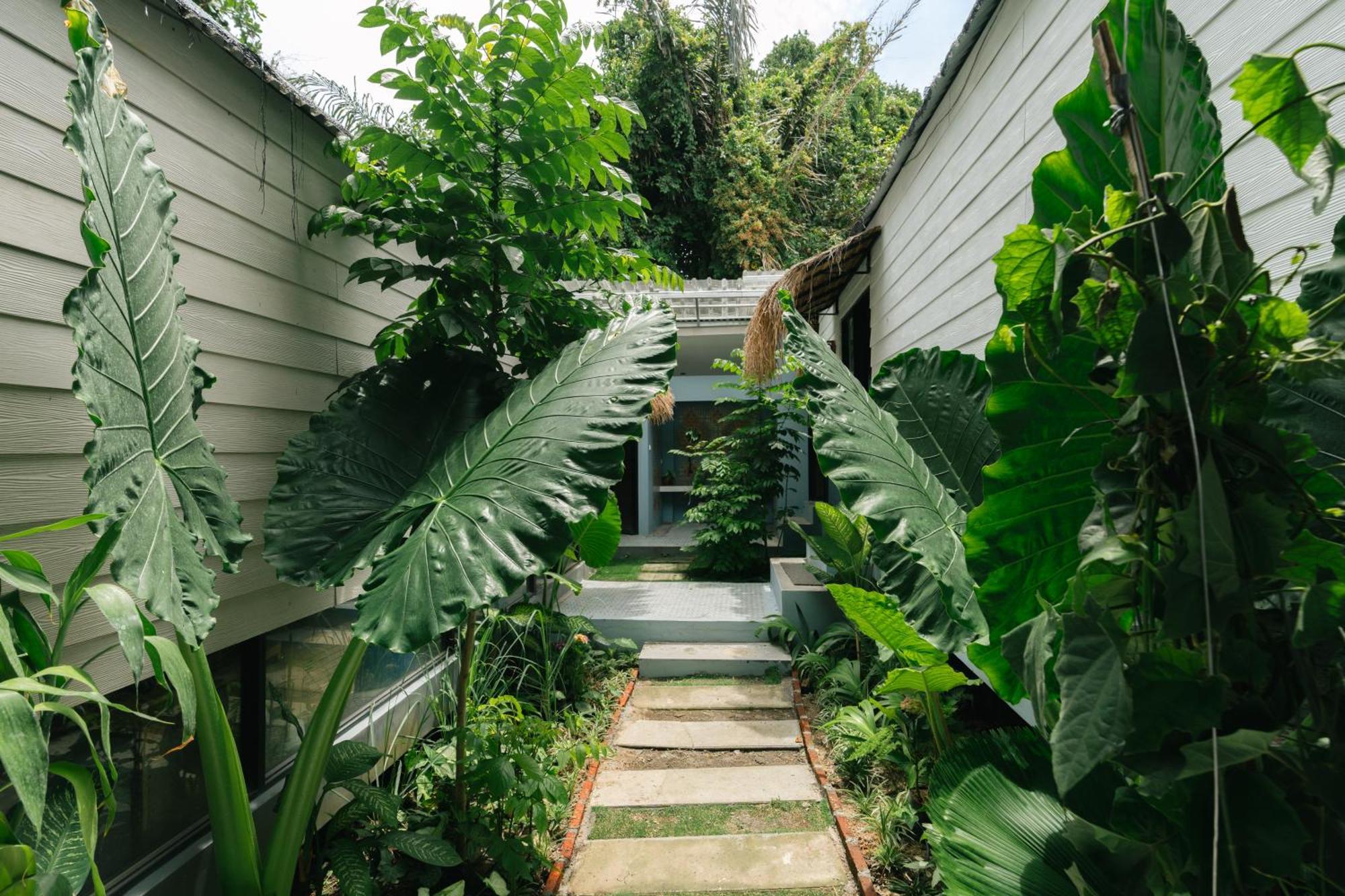The Jungle Hostel Canggu Exterior photo