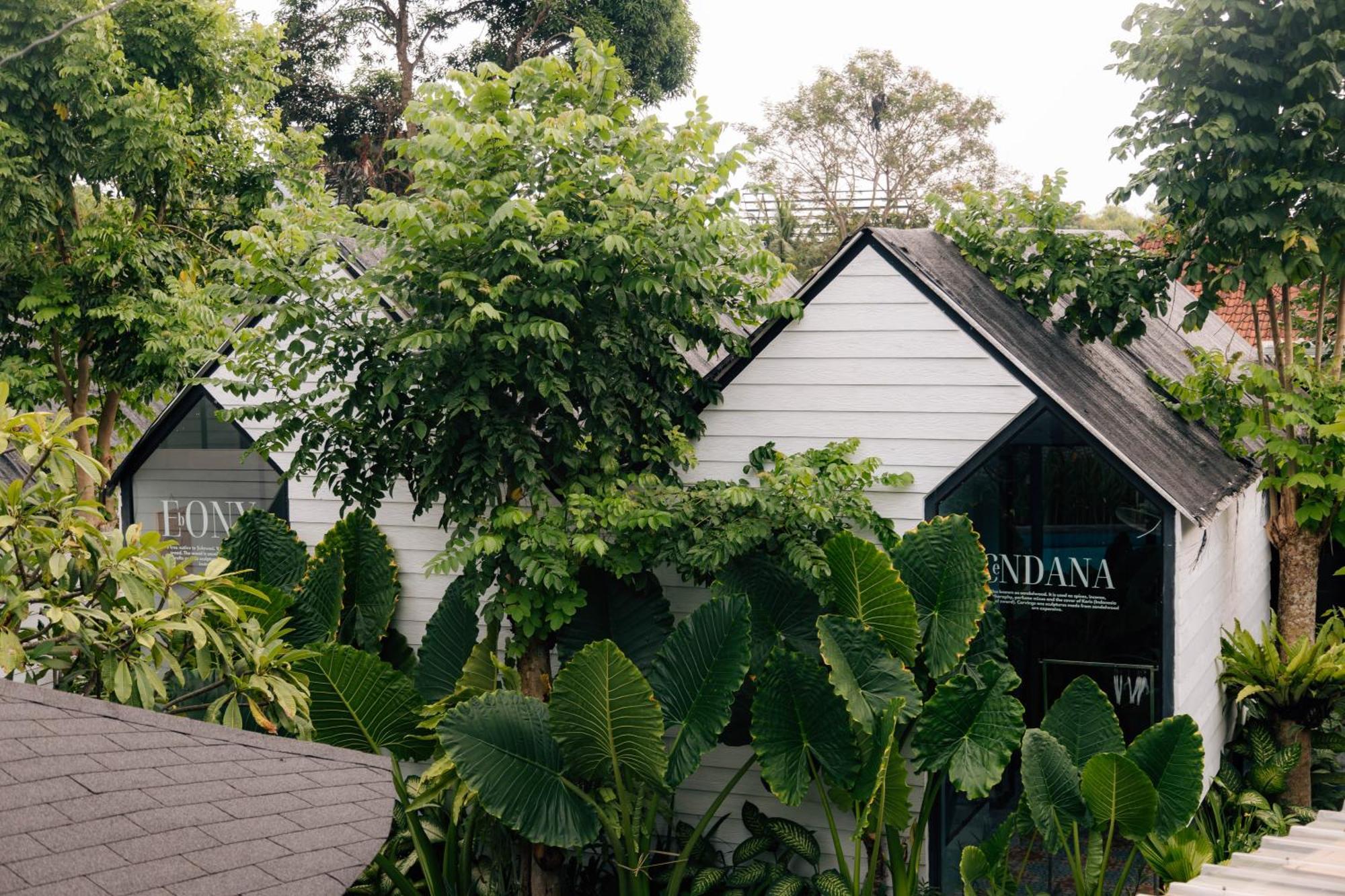 The Jungle Hostel Canggu Exterior photo