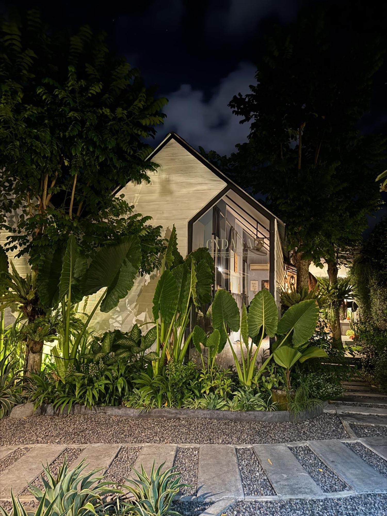 The Jungle Hostel Canggu Exterior photo
